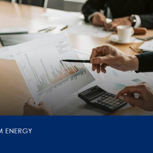 Artikel PACIFIC RIM ENERGY 2