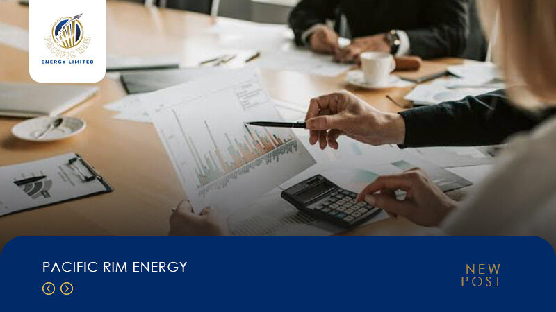 Artikel PACIFIC RIM ENERGY 2