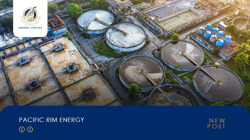 Artikel PACIFIC RIM ENERGY 3