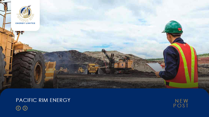 Artikel PACIFIC RIM ENERGY 4